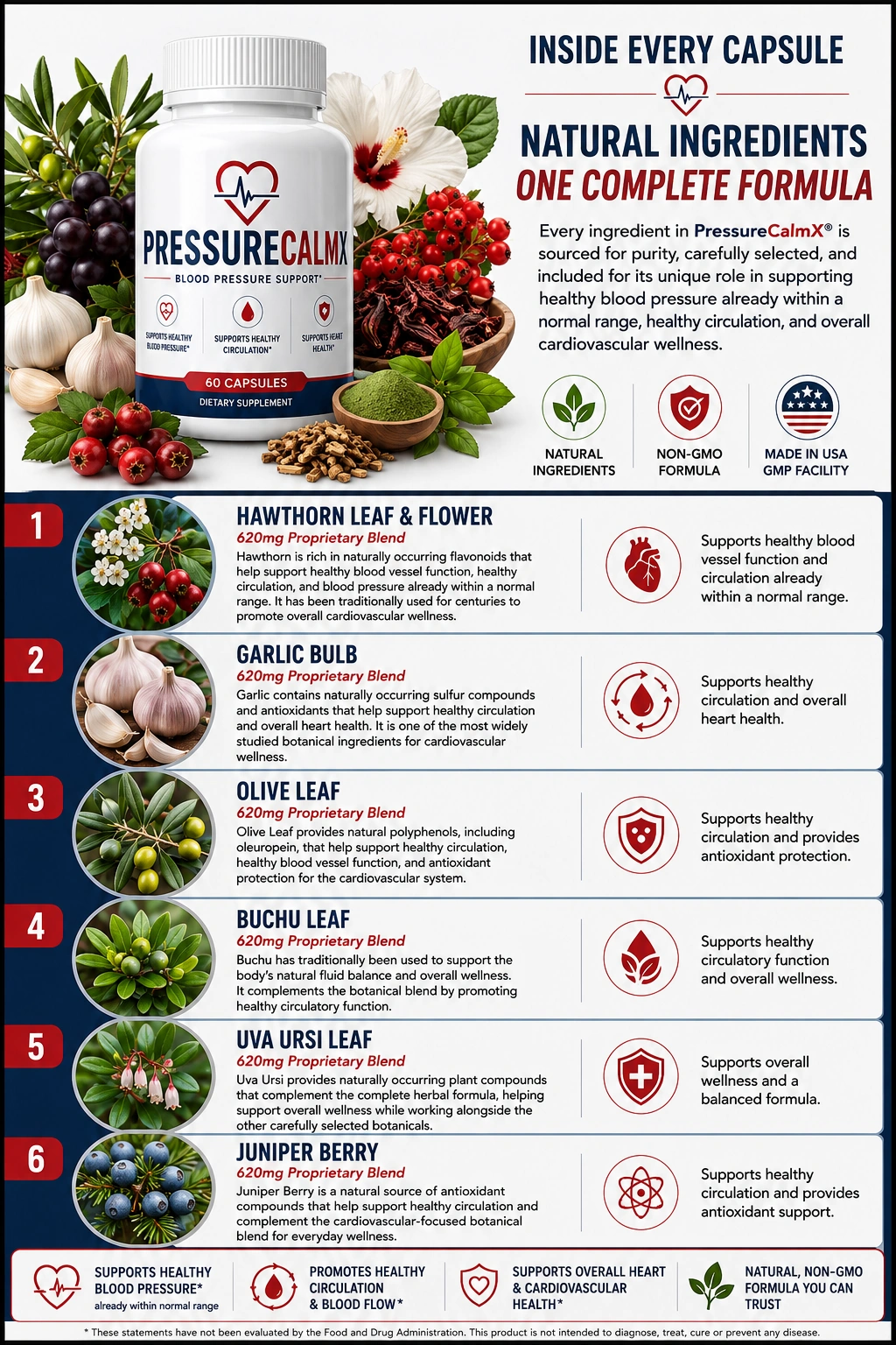 PressureCalmX 620mg proprietary heart blend overview of 8 heart-healthy plant compounds